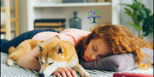 L&rsquo;art de la sieste