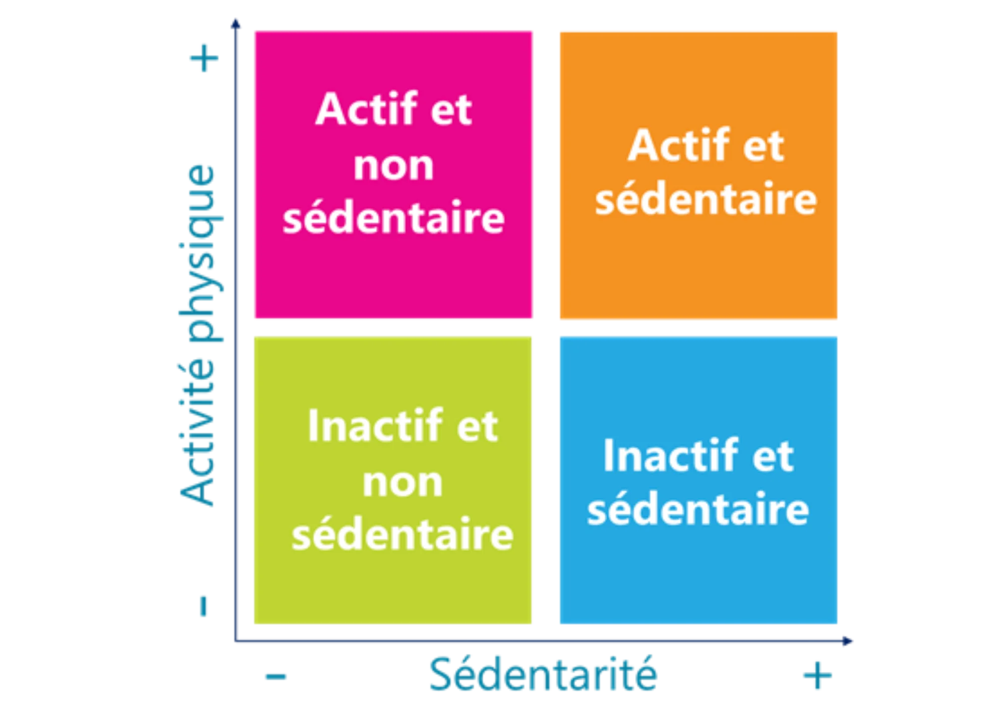 La sédentarité au bureau et ses conséquences